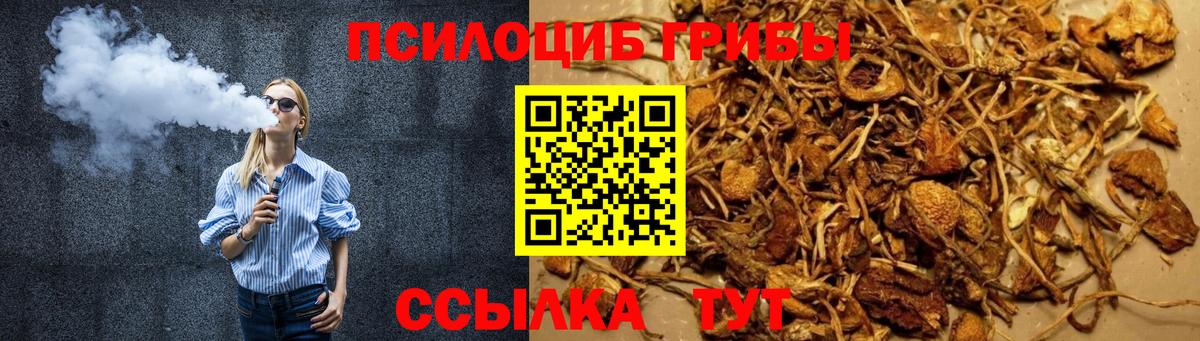 Галлюциногенные грибы MAGIC MUSHROOMS Кинель