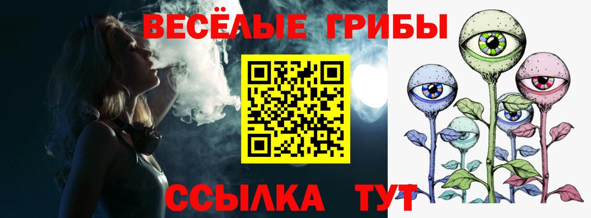 Кинель  Галлюциногенные грибы Psilocybine cubensis  продажа наркотиков  Вход с VPN 